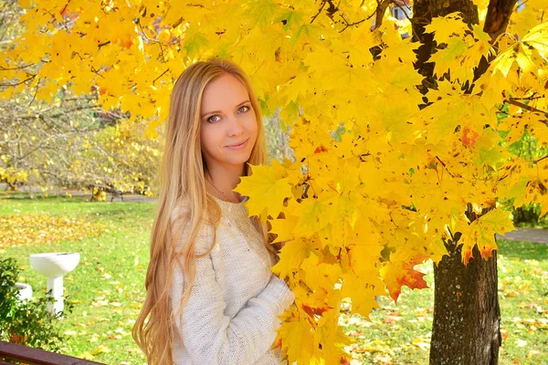 Hermosa Chica Posando Otoño Parque — Foto de Stock