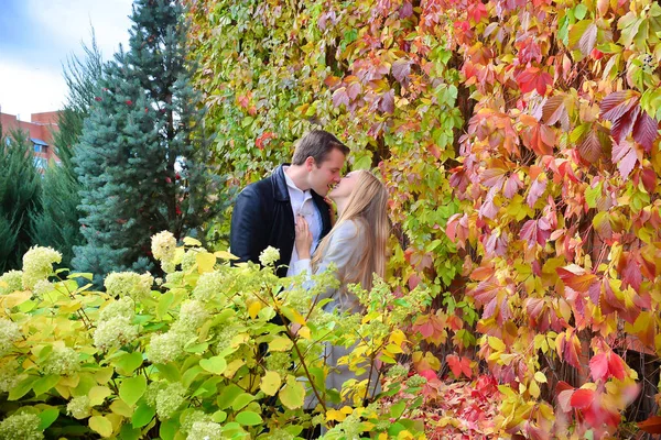 Beau Jeune Couple Baisers Dans Parc — Photo