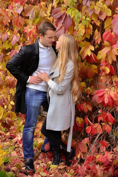 Hermosa Pareja Joven Parque Otoño — Foto de Stock