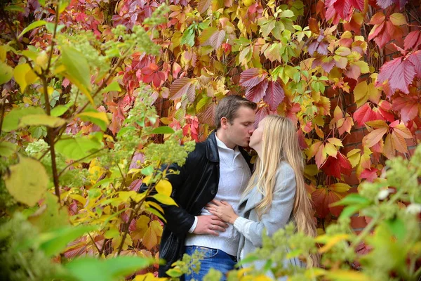 Bella Giovane Coppia Baci Nel Parco — Foto Stock