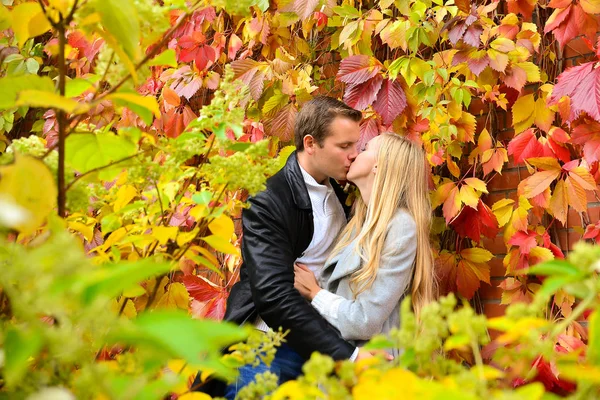 Beautiful Young Couple Kissing Park — Stock Photo, Image