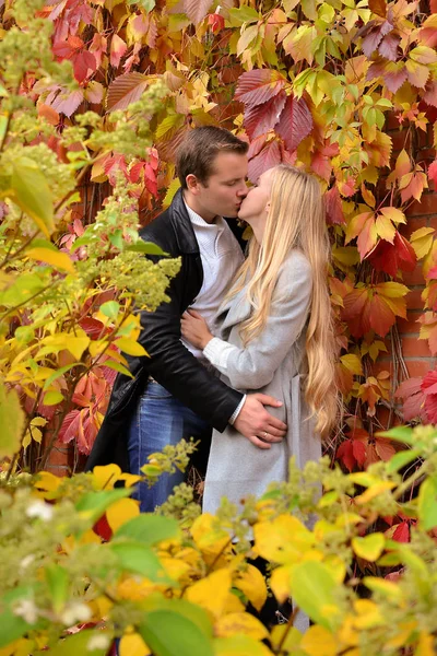 Beautiful Young Couple Kissing Park — Stock Photo, Image