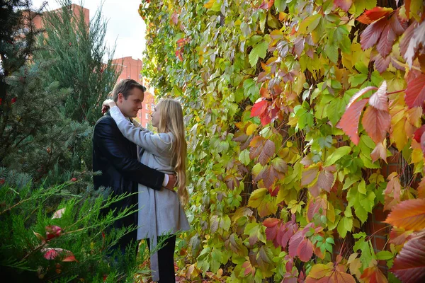 Beautiful Young Couple Autumn Park — Stock Photo, Image