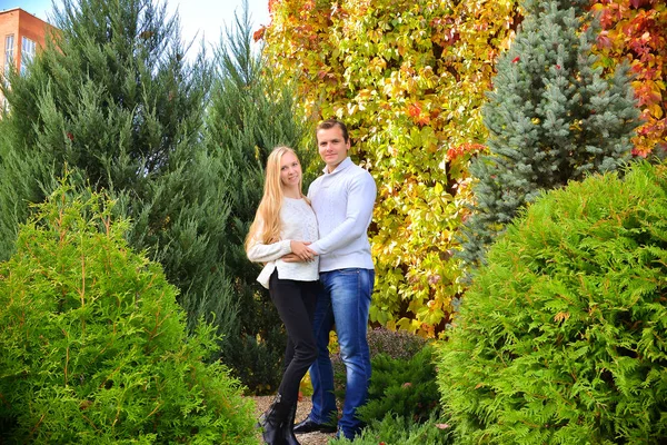 Belo Jovem Casal Parque Outono — Fotografia de Stock