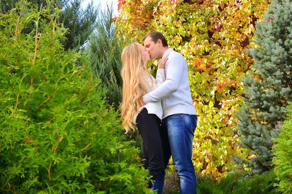 Beautiful Young Couple Kissing Park — Stock Photo, Image