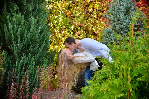 Schönes Junges Paar Küsst Sich Park — Stockfoto