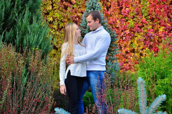 Belo Jovem Casal Posando Parque — Fotografia de Stock