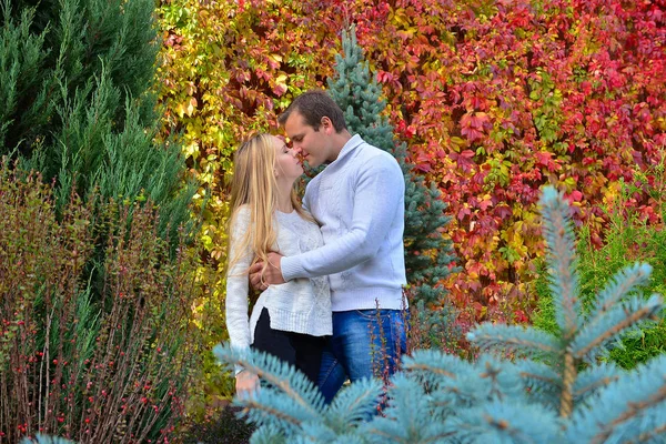 Hermosa Joven Pareja Posando Parque — Foto de Stock