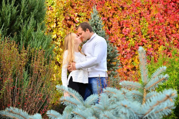 Belo Jovem Casal Posando Parque — Fotografia de Stock