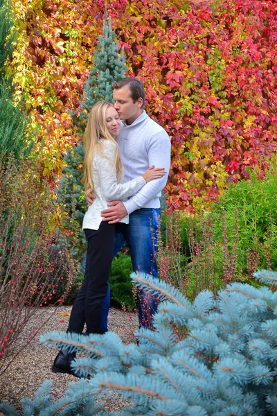 Beau Jeune Couple Posant Dans Parc — Photo