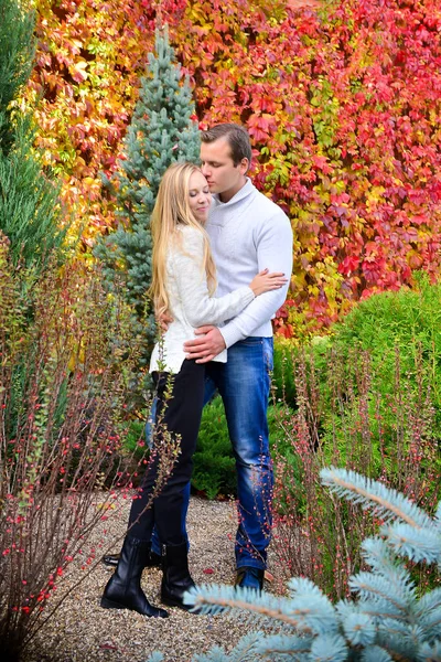 Beau Jeune Couple Posant Dans Parc — Photo