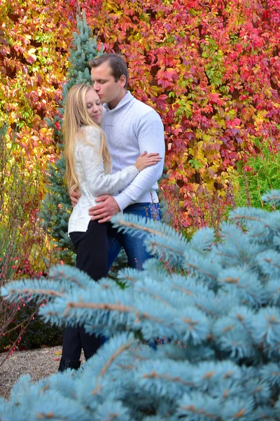 Beau Jeune Couple Posant Dans Parc — Photo