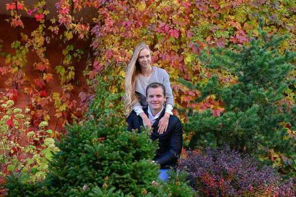 美丽的年轻夫妇摆在公园 — 图库照片