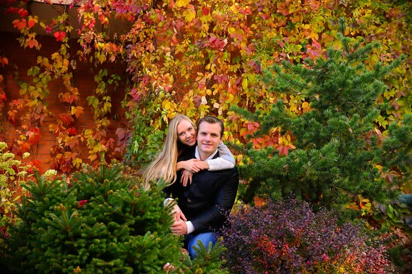 Bella Giovane Coppia Posa Nel Parco — Foto Stock