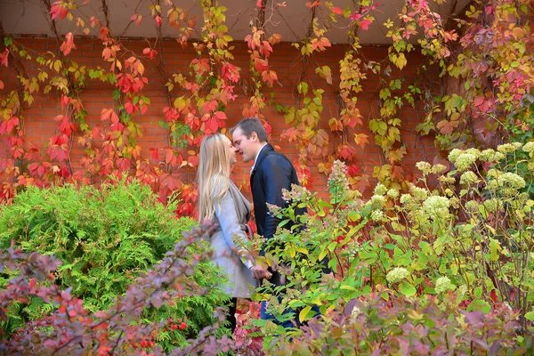 美しい若いカップルが公園でキス — ストック写真
