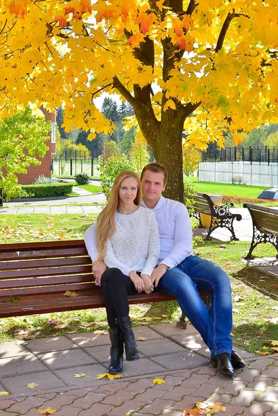 Beautiful Young Couple Sitting Park Autumn Warm Day — Stock Photo, Image