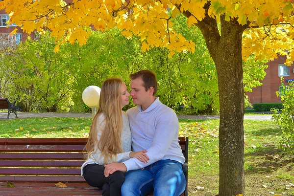 Beautiful Young Couple Sitting Park Autumn Warm Day — Stock Photo, Image
