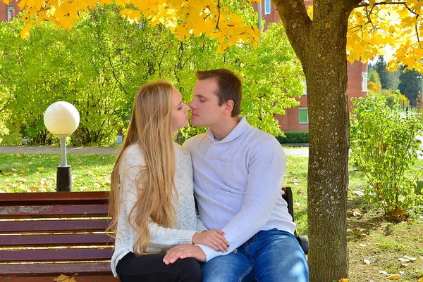 Beautiful Young Couple Sitting Park Autumn Warm Day — Stock Photo, Image