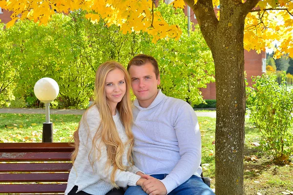 Belo Jovem Casal Sentado Parque Outono Dia Quente — Fotografia de Stock