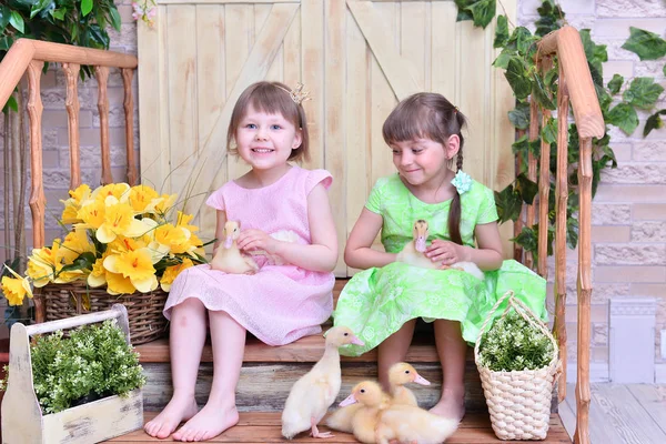 Красивые Милые Девочки Маленькими Утками — стоковое фото