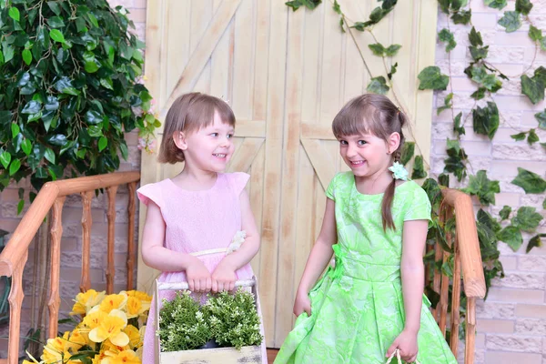 Gyönyörű Csinos Lányok Pózol Virágokkal — Stock Fotó