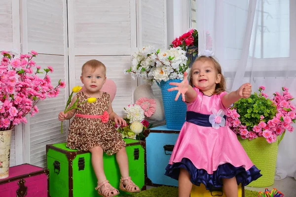 Two Little Girls Studio — Stock Photo, Image