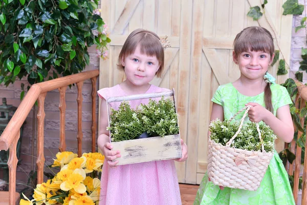 Beautiful Cute Girls Posing Flowers — Stock Photo, Image