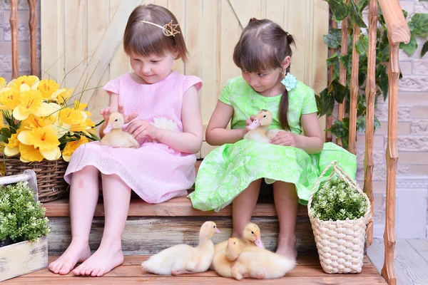 Küçük Ördekler Ile Güzel Sevimli Kızlar — Stok fotoğraf