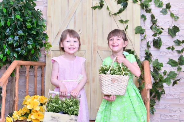 Gyönyörű Csinos Lányok Pózol Virágokkal — Stock Fotó