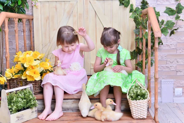 Küçük Ördekler Ile Güzel Sevimli Kızlar — Stok fotoğraf