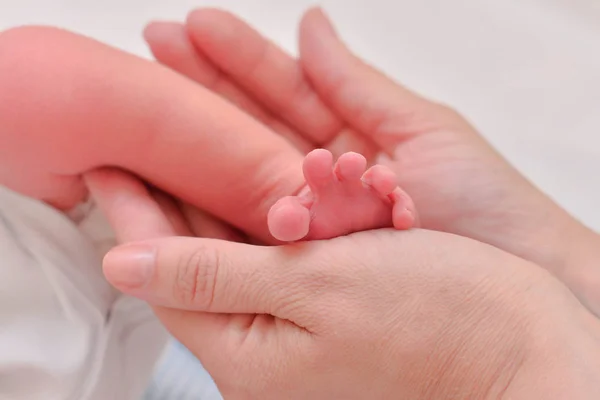 Kobieta Ręce Stóp Dziecka — Zdjęcie stockowe