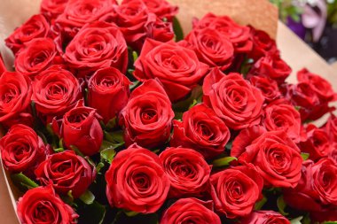 Bir buket taze harika çiçek.