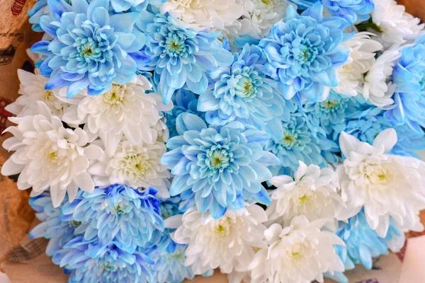 Buquê Flores Maravilhosas Frescas — Fotografia de Stock