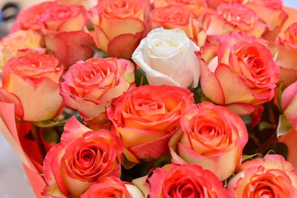 Buquê Flores Rosa Brilhantes Frescas — Fotografia de Stock