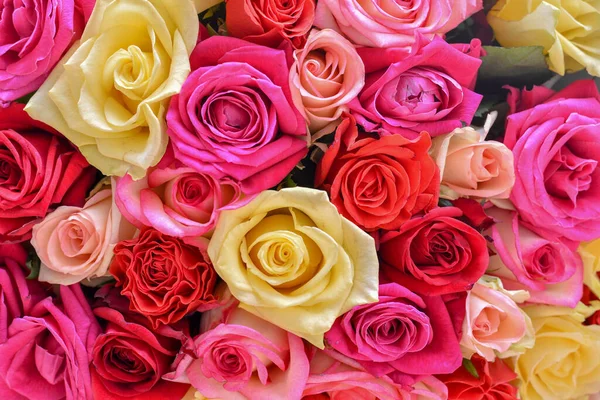 Bir buket taze gül çiçeği.