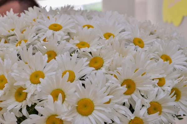 Buquê Flores Maravilhosas Frescas — Fotografia de Stock