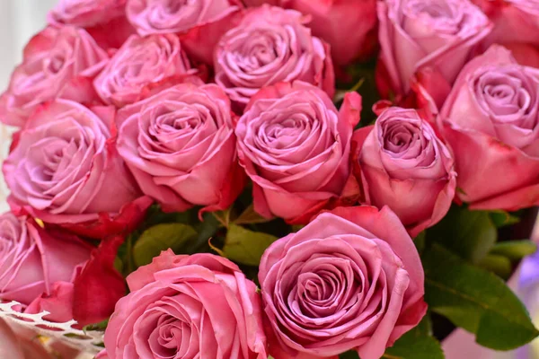 Buquê Flores Rosa Brilhantes Frescas — Fotografia de Stock