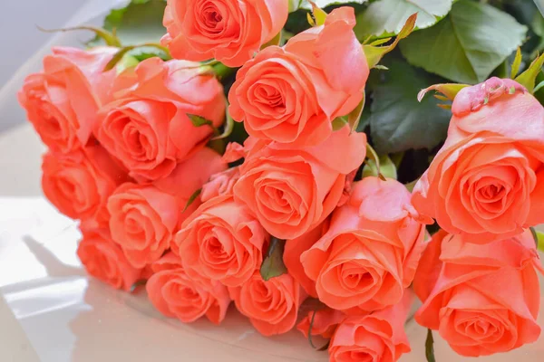 Букет Свежих Ярких Розовых Цветов — стоковое фото