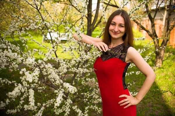 Joven Hermosa Chica Vestido Rojo Posando Parque Verano Con Árboles —  Fotos de Stock