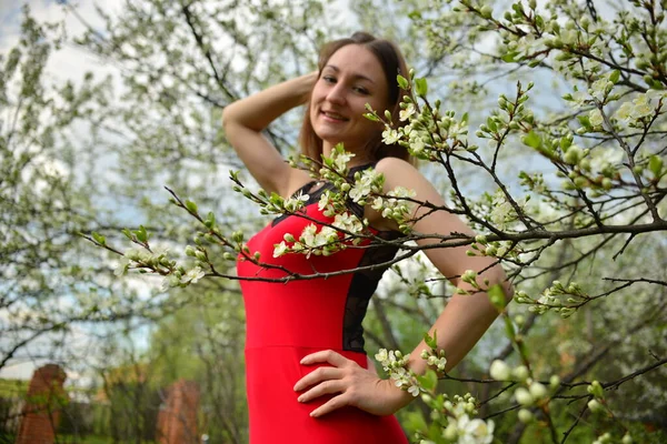 Молода Красива Дівчина Червоній Сукні Позує Літньому Парку Квітучими Деревами — стокове фото