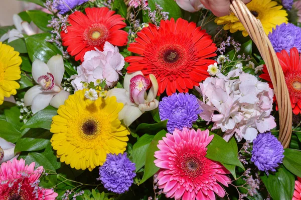 Boeket Van Verse Prachtige Bloemen Stockfoto