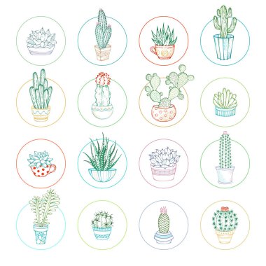 Vektör lineer kaktüsler ve sulu simge seti.
