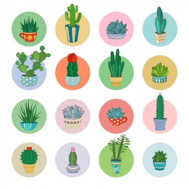 Vektör karikatür kaktüsler ve sulu simge seti.