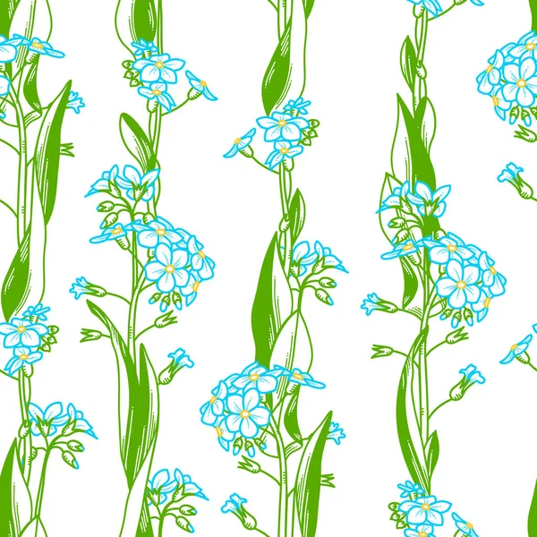 Vector Forget-me-nots naadloze patroon. — Stockvector