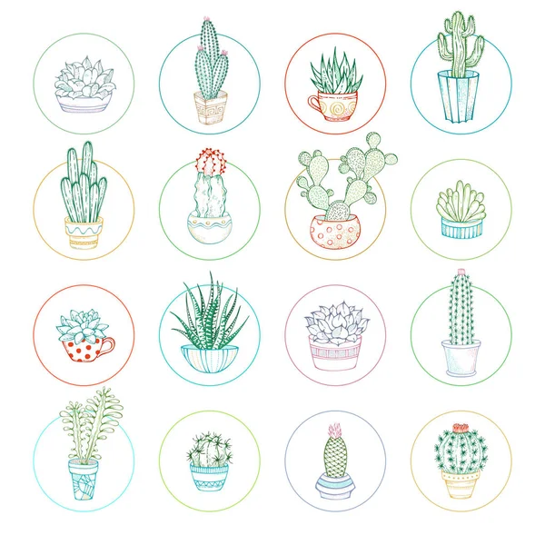 Conjunto de cactus lineales vectoriales e iconos suculentos . — Archivo Imágenes Vectoriales