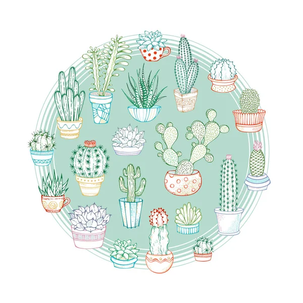 Cactus y suculentas vector redondo ilustración lineal . — Archivo Imágenes Vectoriales