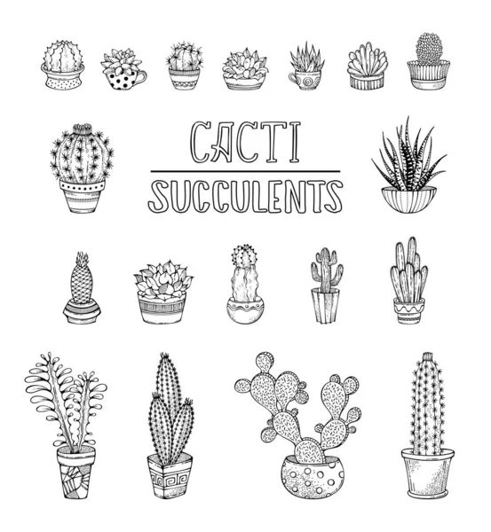 Doodles kaktüs ve sulu simgeler vektör seti.