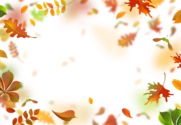 Διανυσματικά φωτεινά φύλλα φθινοπώρου πέφτουν κάτω. — Διανυσματικό Αρχείο