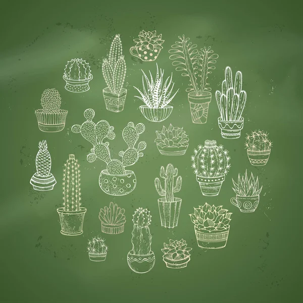 Cactus y suculentas ilustración vectorial redonda . — Archivo Imágenes Vectoriales