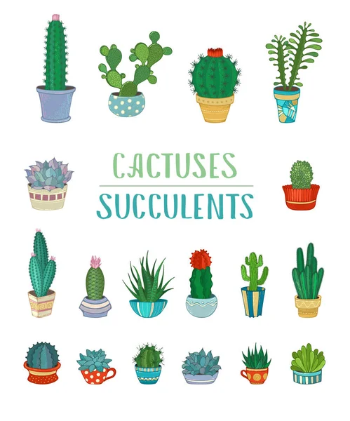Ensemble vectoriel de cactus et de plantes succulentes . — Image vectorielle